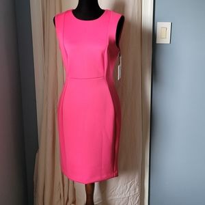 Hot Pink Sheath Dress- NWT